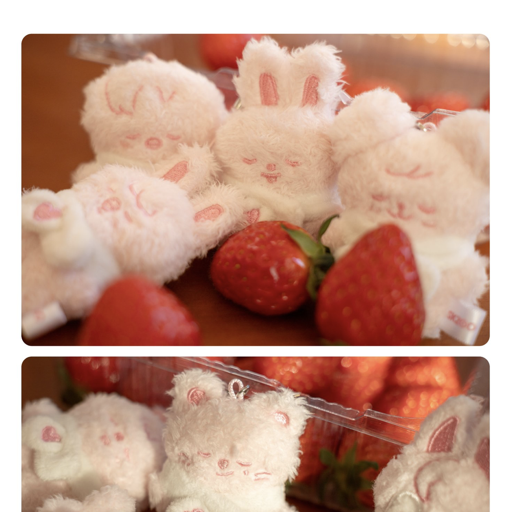 Купить Плюш SKZOO SECRET PLUSH MICRO Ver. - STAY in Our Little