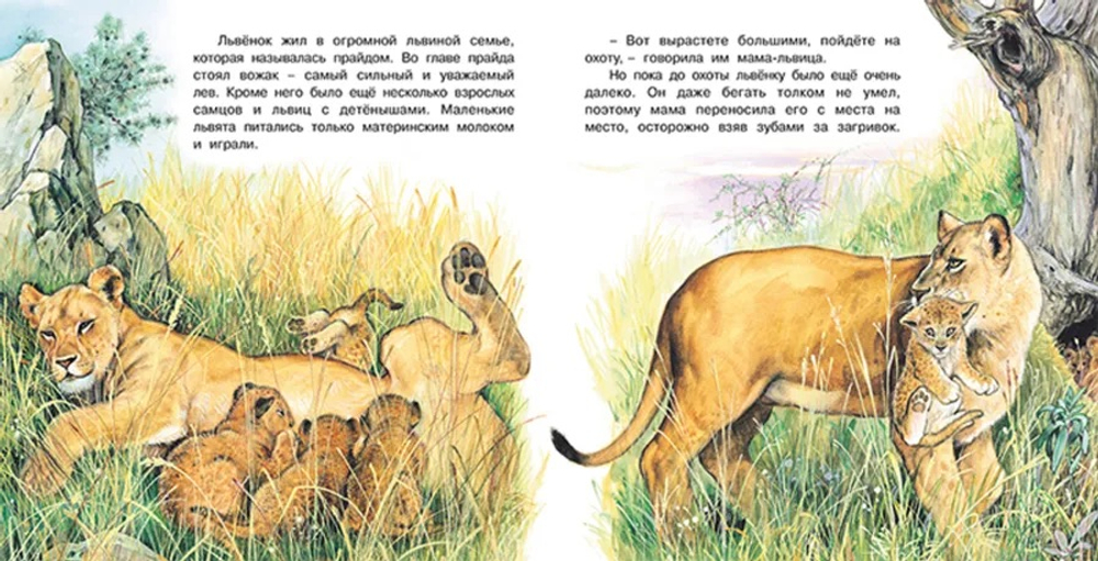 ПМВН. Приключения львенка, изд.: Фламинго, авт.: Гурина И.В., серия.: Серия "Познаем мир вокруг нас"   Формат: 21х21 см; 16 цв. стр. + обл.