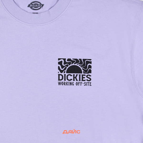 Футболка мужская Dickies Saltville Tee артикул:DK0A4YR9H181 - купить в магазине Дайс