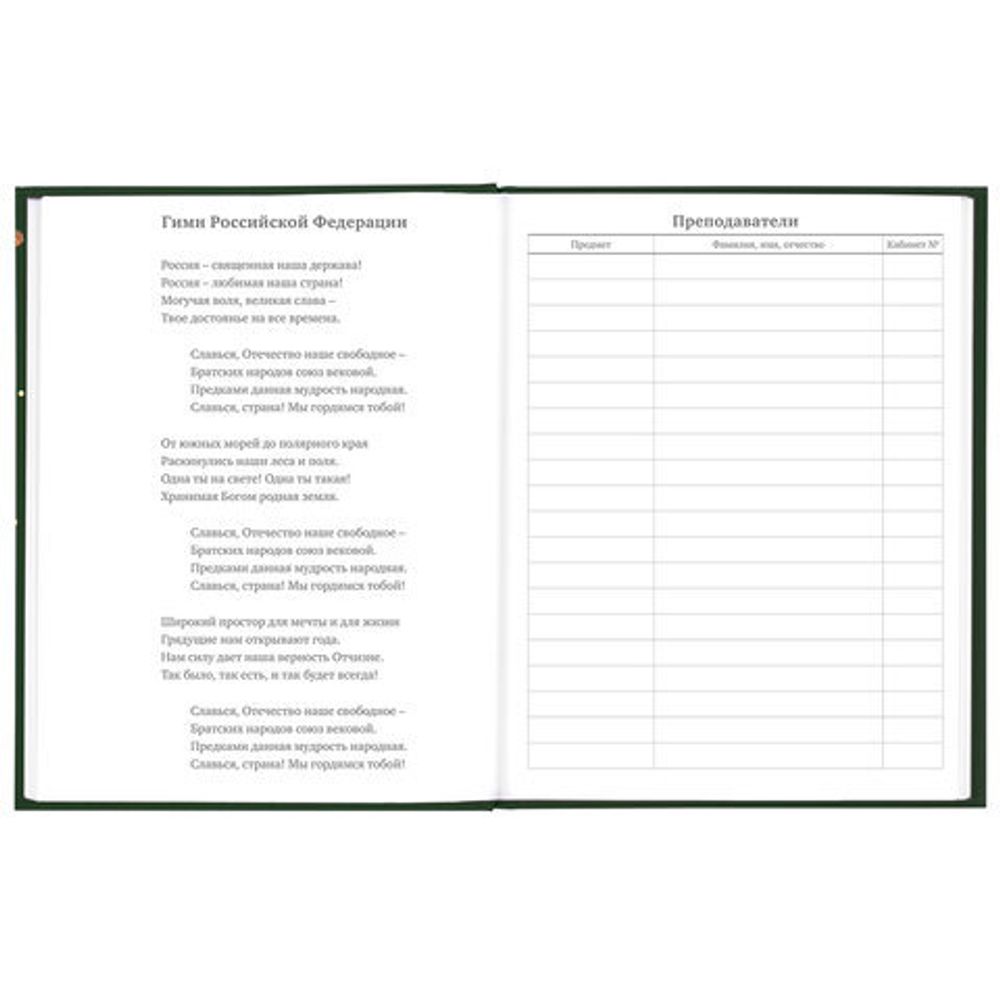 Дневник 5-11 класс 48 л., твердый, BRAUBERG, выборочный лак, с подсказом, "Футбол", 106412