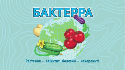 Средство БАКТЕРРА для защиты растений от комплекса грибных и бактериальных болезней в пакете 15 гр