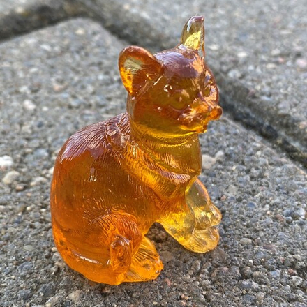 Котенок заинтригован