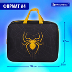 Папка на молнии с ручками BRAUBERG А4 1 отделение полиэстер 80 мм "Venomous spider" (2 штуки в упаковке)