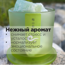 Диффузор ароматический для дома с минералами ВЕСЕННИЙ ДОЖДЬ