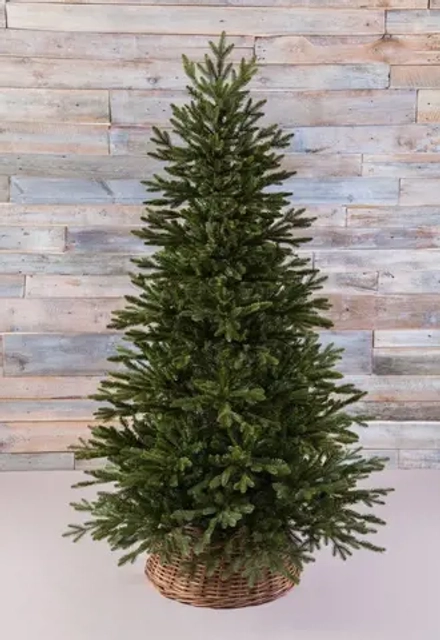 Искусственная ель Ирландская 425 см., литая хвоя+пвх, Black Box (74393)