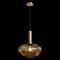 Подвесной светильник Loft IT IRIS 2071-С+BR