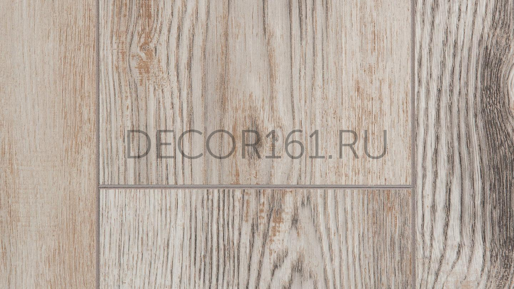 Дуб Чезаре LM03