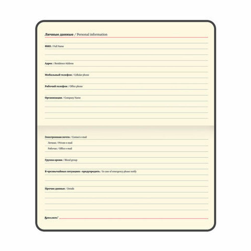 Еженедельник Brauberg "Alligator" недатированный А6 коричневый (126183) 3