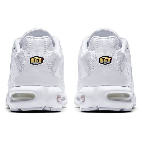 Кроссовки Nike Air Max Plus Мужские