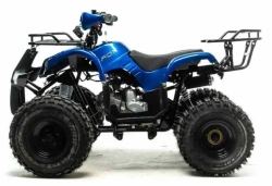 Квадроцикл Motoland 125 FOX