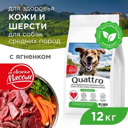 Корм сухой для взрослых собак средних пород, премиум полнорационный комплекс, здоровье кожи и шерсти, с ягненком, 12 кг, QUATTRO