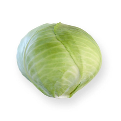 АНКОМА рз F1 семена капусты белокочанной (Rijk Zwaan / ALEXAGRO )