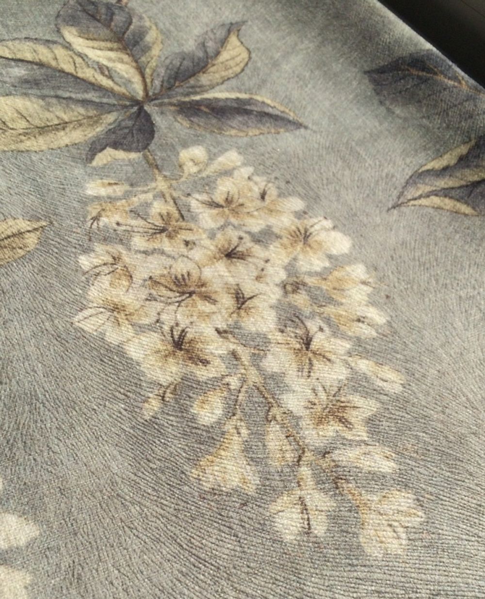 Цветок на сером