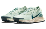Кроссовки Nike Pegasus Trail 3 Gtx (Женская размерная сетка)