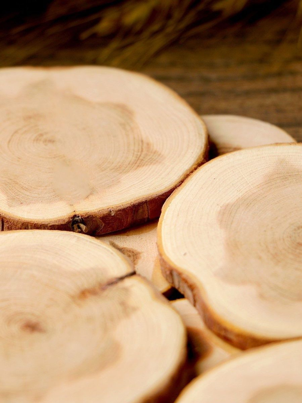 Подставка под горячее на стол из можжевельника 18 см. P13