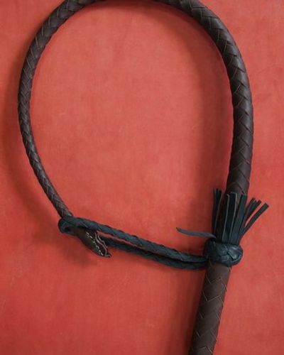 Нагайка кубанская