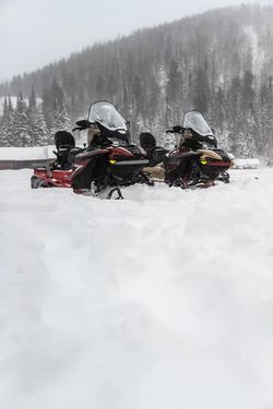 Снегоход AODES Siberiacross 1000 WT 508mm LCD 6.8