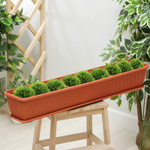 БАЛКОННЫЙ ЯЩИК С ПОДДОНОМ 600*150*120 АССОР