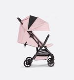 Новая прогулочная коляска Dior Inglesina