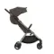 Коляска ANEX iQ Premium 2 в 1 bruna