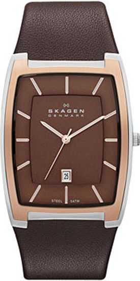 Наручные часы Skagen SKW6004