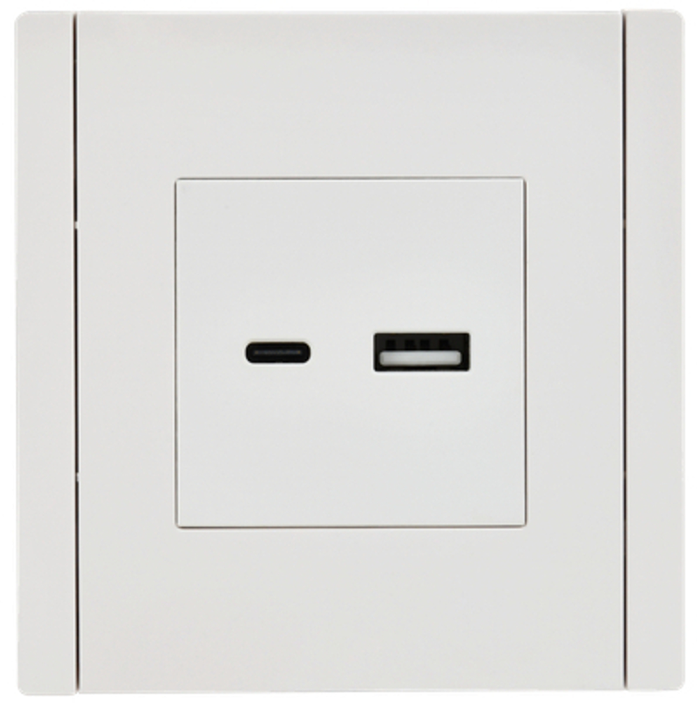 FORTE&PIANO Розетка USB A+C 3,1А FP250 белый IEK