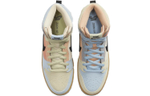 Кроссовки Nike Dunk Sb Pro Spectrum