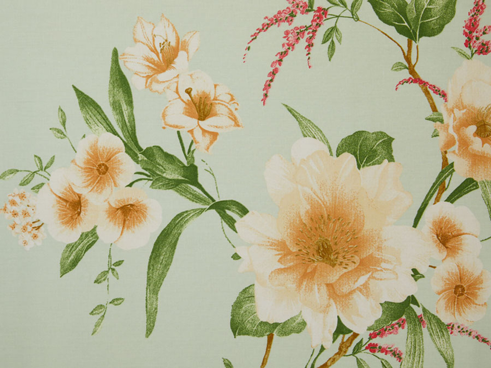 Постельное белье СайлиД B-196 сатин