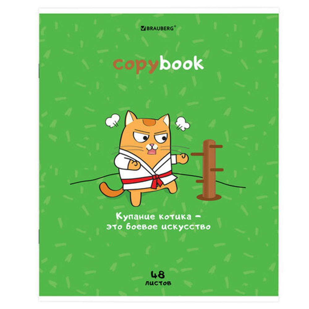 Тетрадь А5, 48 л., BRAUBERG, скоба, клетка, обложка картон, "Кот-Энтузиаст", 404365, 5шт