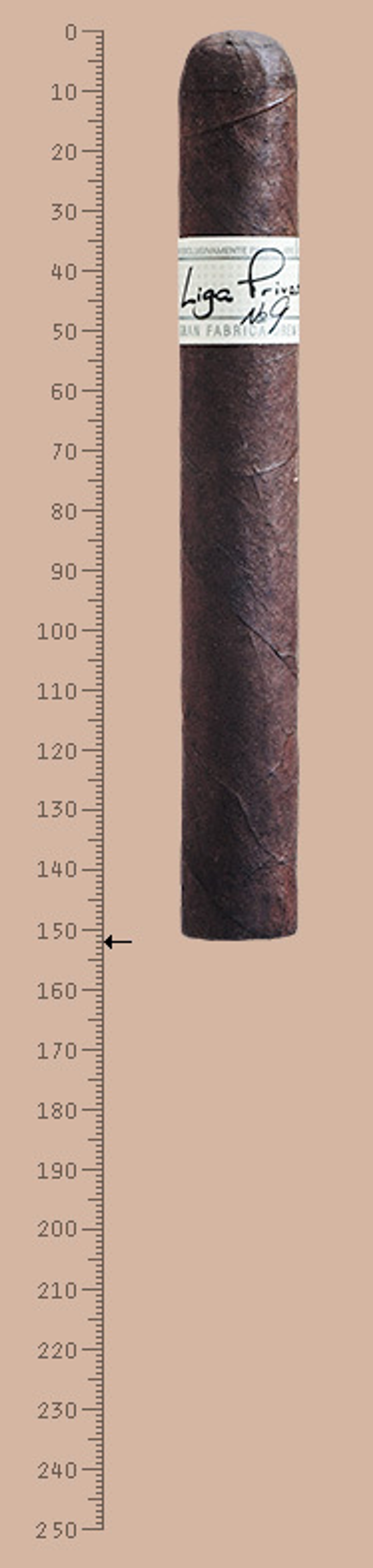 Liga Privada No.9 Toro