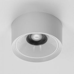 Накладной светильник Citilux Rover CL743090N