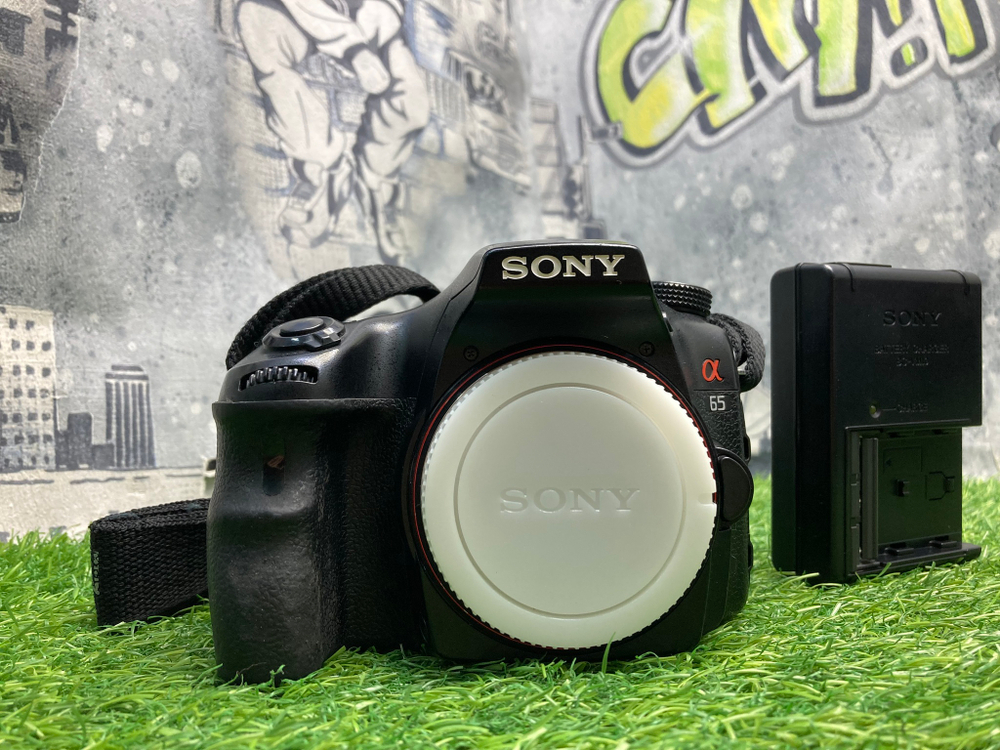 Sony A65 22.000 кадров