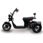 Электроскутер SKYBOARD CITYCOCO MyRussia BR60 3000W с корзиной