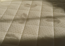 Матрас DreamLine Easy Feel TFK 80х195