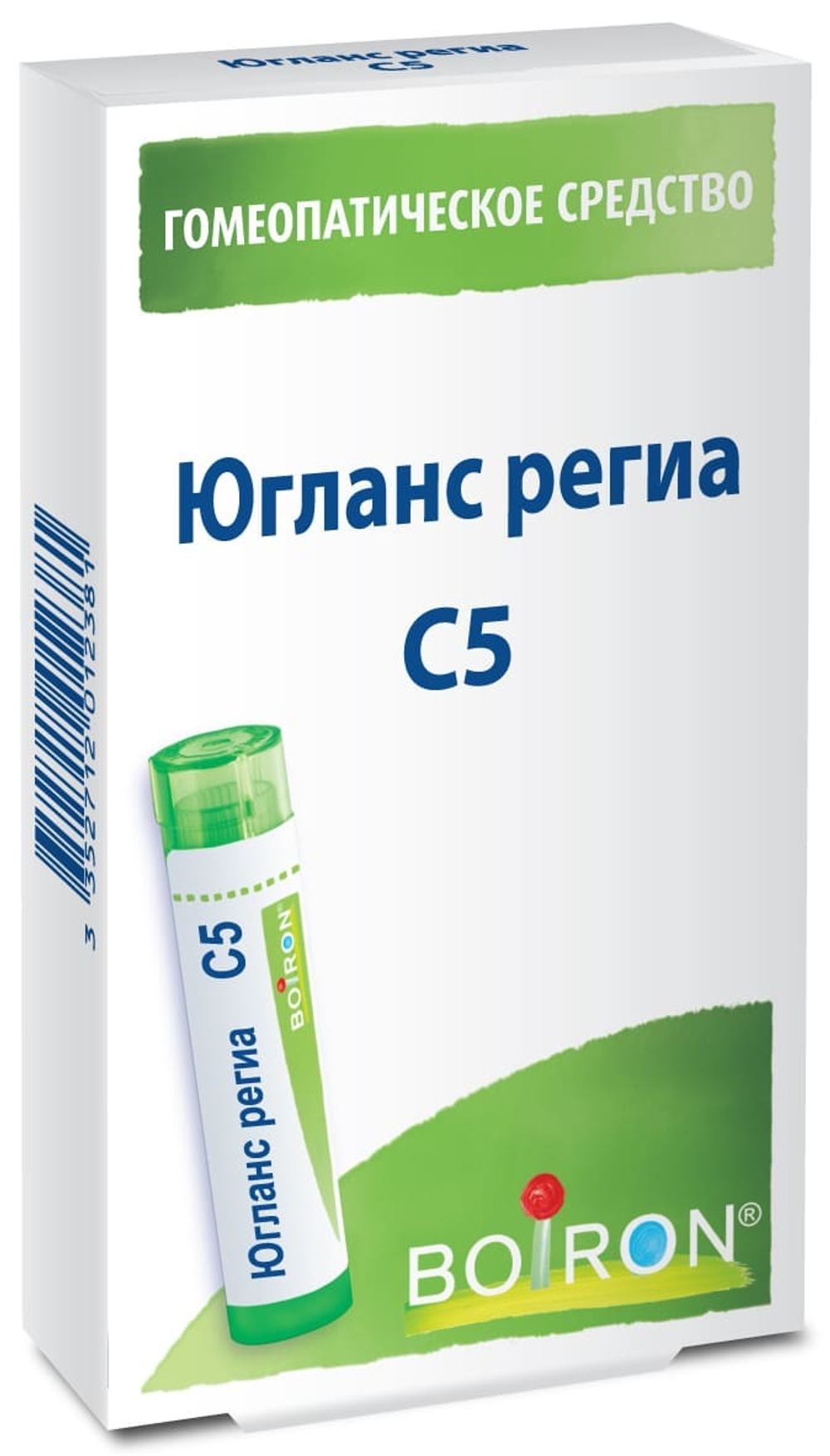 Югланс региа (Juglans regia) C5 Буарон