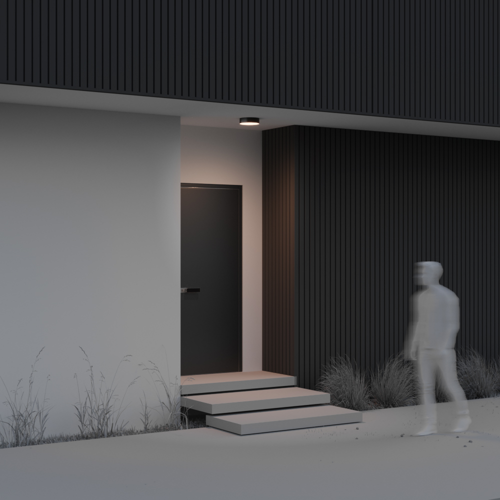 Уличный потолочный светильник Outdoor O431CL-L30B3K