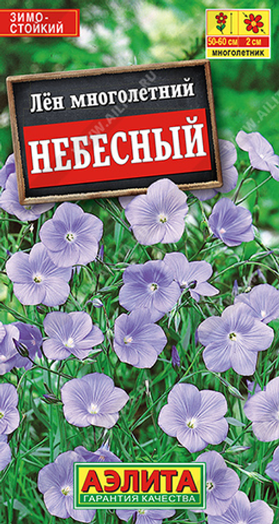 Лен многолетний Небесный
