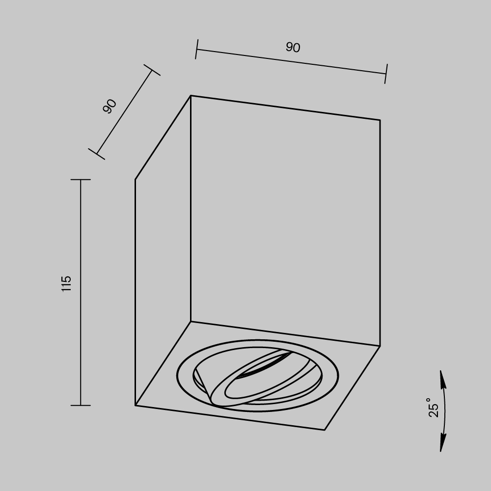 Накладной светильник Maytoni Technical C017CL-01B