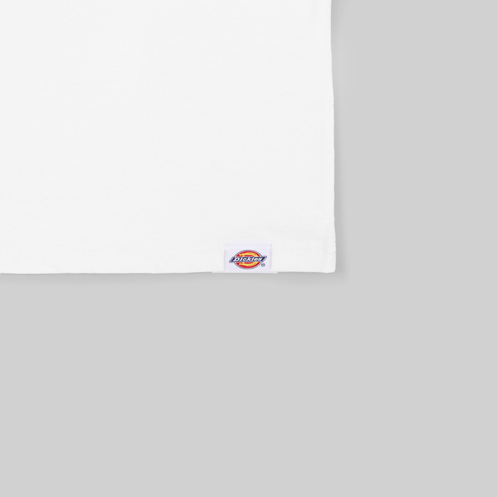 Футболка мужская Dickies Timberville Tee артикул:DK0A4YR3WHX1 - купить в магазине Дайс