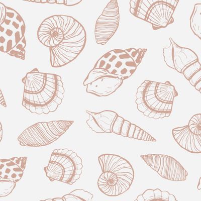 Морские ракушки 2