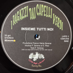 Винтажная виниловая пластинка LP I Ragazzi Dai Capelli Verdi Insieme Tutti Noi (Italy 2008)