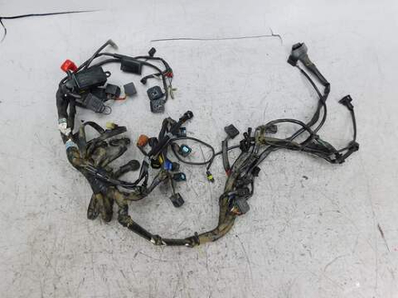 коса электропроводки Triumph Speed Triple SMTTE5865R