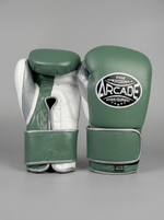 Боксерские перчатки Arcade Green/White