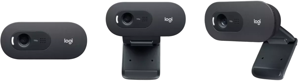 Веб камеры Logitech C505 HD Webcam (960-001364)