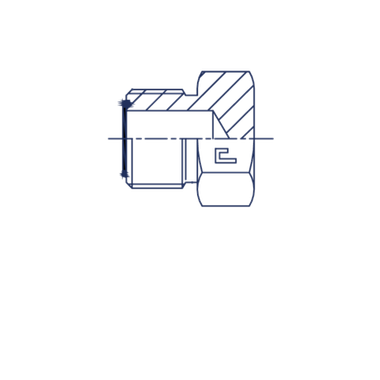 Заглушка V (Ш) ORFS 9/16