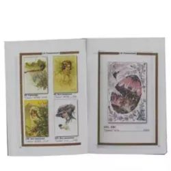 Почтовые карточки