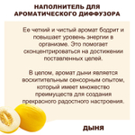 ДЫНЯ - Наполнитель для ароматического диффузора