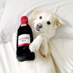 Игрушка Happy Hour Crusherz Красное вино ZippyPaws