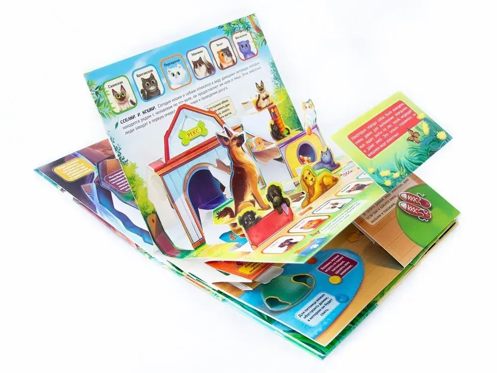 POP UP энциклопедия