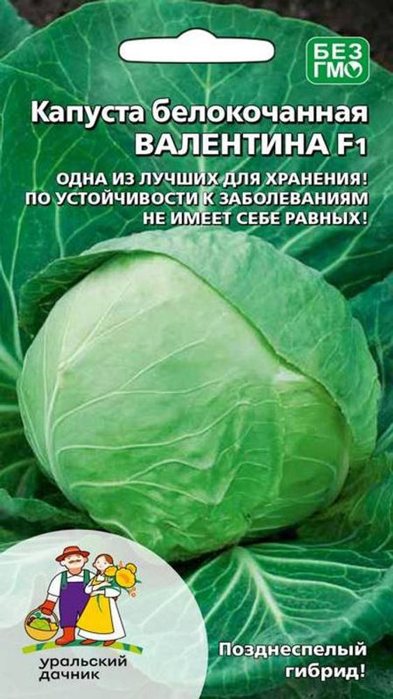 Капуста б/к &quot;G. Валентина F1&quot; 0,15г., Россия.
